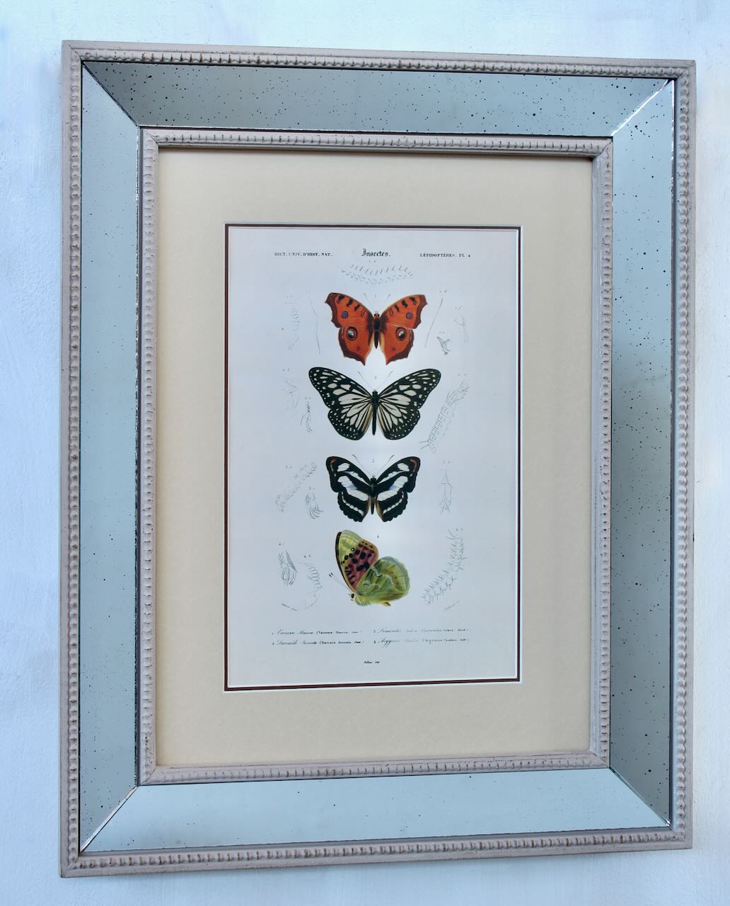 ANTIQUE MIRRORED BUTTERFLY PICTURE  51CMX41CM
